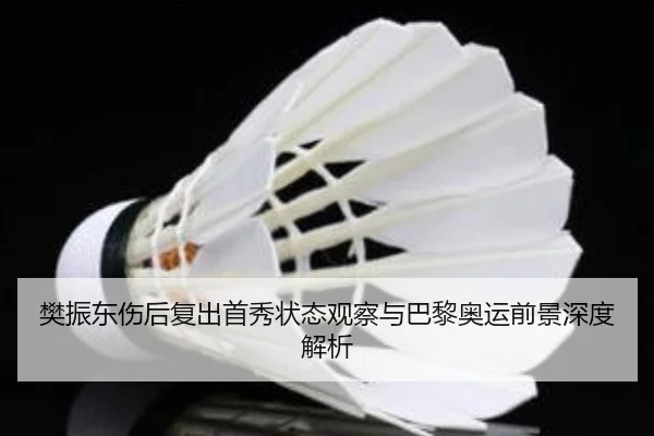 樊振东伤后复出首秀状态观察与巴黎奥运前景深度解析